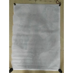毕业证可以作假吗